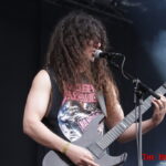 Into The Grave 2016: Vektor